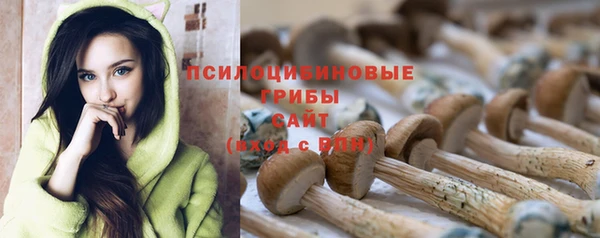 спайс Кодинск
