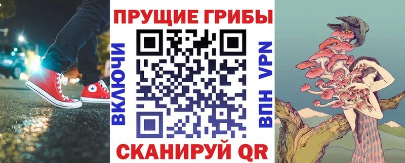 Псилоцибиновые грибы ЛСД  Купить где  Анапа 